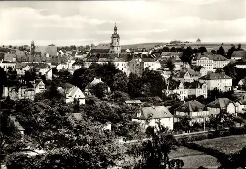 Ak Dippoldiswalde im Erzgebirge, Panorama