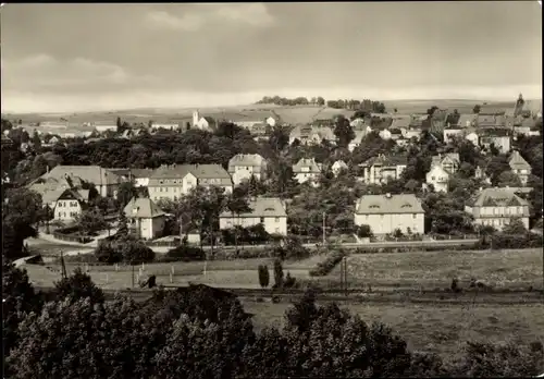 Ak Dippoldiswalde im Erzgebirge, Panorama