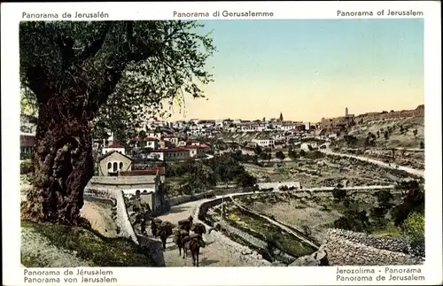 Ak Jerusalem Israel, Panorama