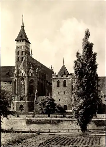 Ak Malbork Marienburg Westpreußen, Schloss