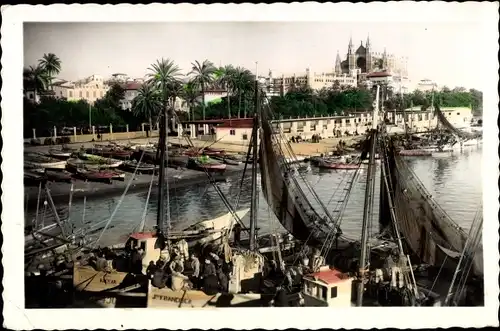 Ak Palma de Mallorca Balearische Inseln, Fischerhafen mit Kathedrale