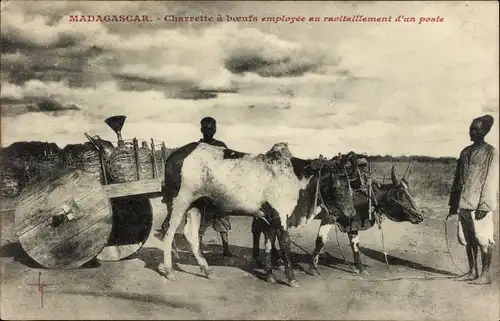 Ak Madagaskar, Charrette a boeufs employee au ravitaillement d'un poste
