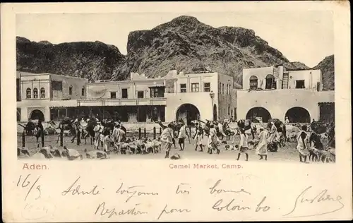 Ak Aden Jemen, Camel Market, Camp