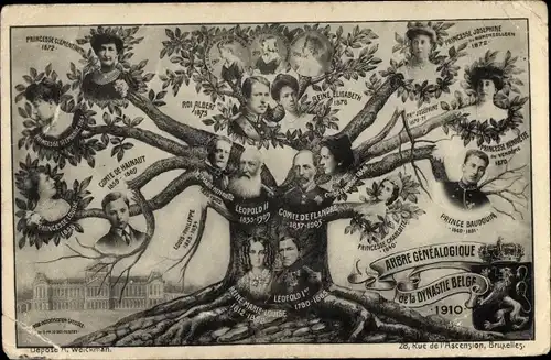 Ak Dynastie Belge 1910, Arbre Genealogique, Stammbaum belgisches Königshaus, Roi Albert, Leopold II