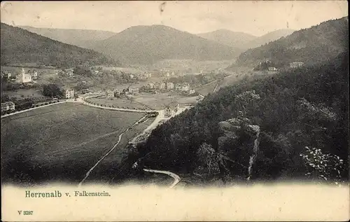 Ak Bad Herrenalb im Schwarzwald, Panorama vom Falkenstein aus