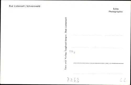 Ak Bad Liebenzell im Schwarzwald, Panorama