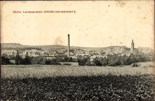 Ak Großschweidnitz in Sachsen, Panorama