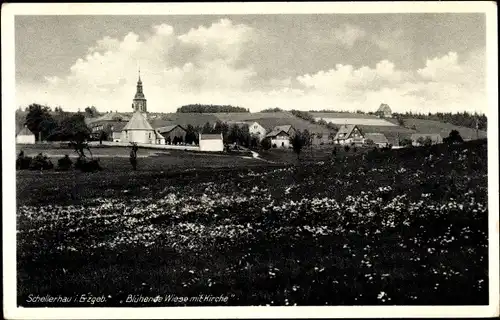 Ak Schellerhau Altenberg im Erzgebirge, Blühende Wiese mit Kirche