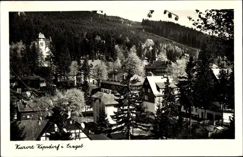 Ak Kipsdorf Altenberg im Erzgebirge, Stadtansicht, Berge, Wald