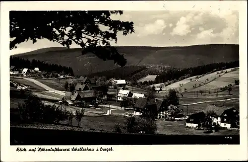 Ak Schellerhau Altenberg im Erzgebirge, Panorama