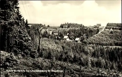 Ak Waldidylle Altenberg im Erzgebirge, Panorama