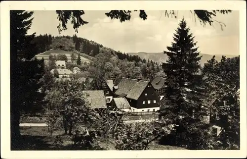Ak Bärenfels Altenberg im Erzgebirge, Teilansicht