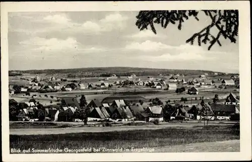 Ak Zinnwald Georgenfeld Altenberg im Erzgebirge, Panorama