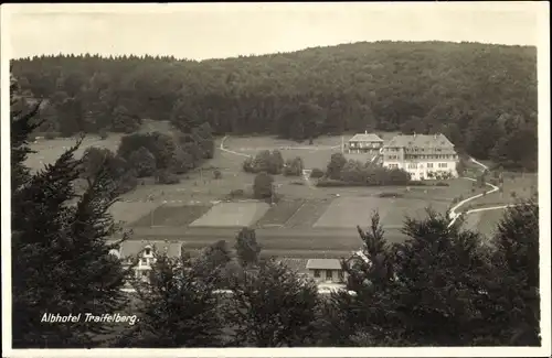 Ak Traifelberg Honau Lichtenstein in Baden Württemberg, Blick auf Alphotel