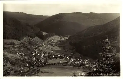 Ak Calmbach Bad Wildbad im Schwarzwald, Panorama