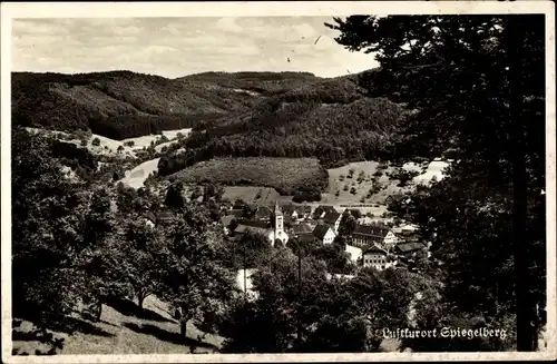 Ak Spiegelberg in Württemberg, Panorama