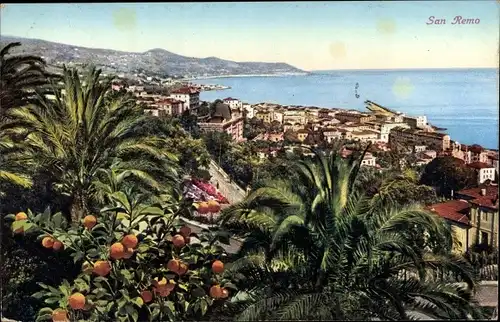 Ak San Remo Ligurien, Gesamtansicht, Orangenbäume