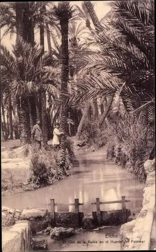Ak Elche Valencia Spanien, El Clot de la Reina en el Huerto del Palomar