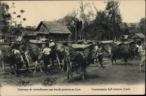 Ak Laos, Caravane de reviataillement par boeufs-porteurs, Commissariat bull caravan