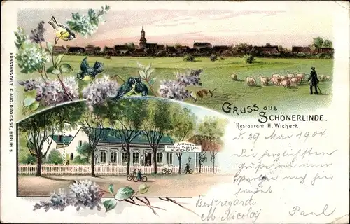 Litho Schönerlinde Wandlitz im Kreis Barnim, Restaurant H. Wickert, Schafherde mit Schäfer