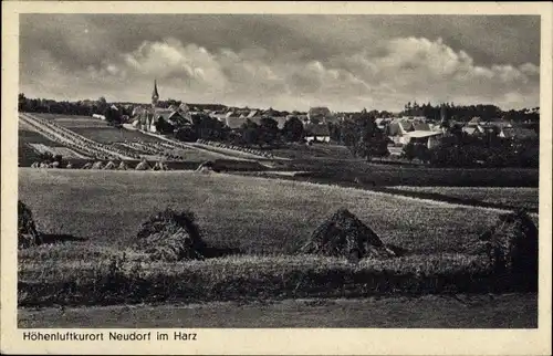 Ak Neudorf Harzgerode am Harz, Blick zum Ort, Felder