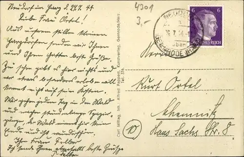 Ak Neudorf Harzgerode am Harz, Blick zum Ort, Felder