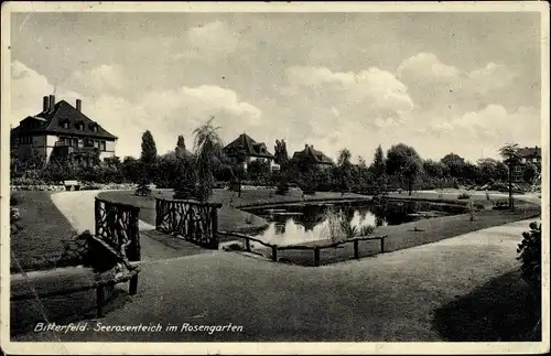 Ak Bitterfeld, Seerosenteich im Rosengarten