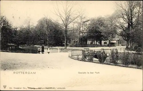 Ak Rotterdam Südholland Niederlande, Gezicht in het Park