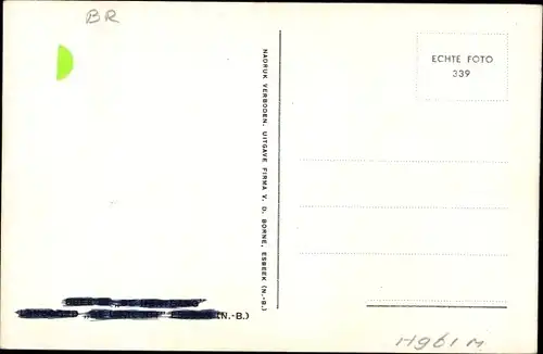Ak Nordbrabant Niederlande, Waldpartie, Bächlein, Bäume