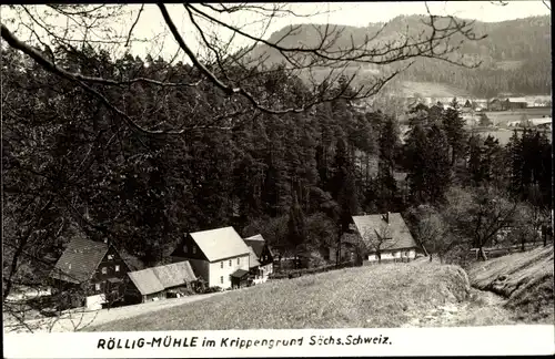 Ak Krippen Bad Schandau in Sachsen, Rölligmühle, Panorama