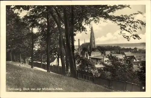 Ak Schleswig an der Schlei, Blick von der Michaelis-Allee