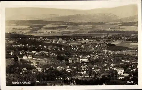 Ak Polanica Zdrój Bad Altheide Schlesien, Totalansicht