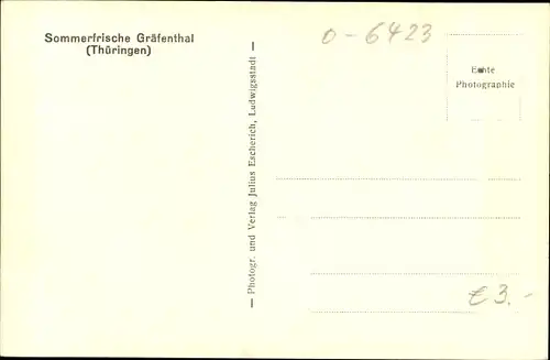 Ak Gräfenthal in Thüringen, Panorama