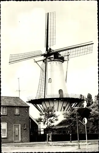 Ak Westmaas Südholland, Molen Windlust