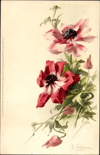 Künstler Litho Klein, Catharina, rote Blüten, Anemonen