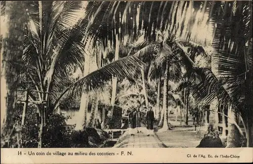 Ak Tonkin Vietnam, Un coin de village au milieu des cocotiers, Palmen