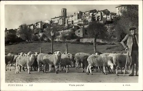 Ak Puigcerda Katalonien, Hirte mit Schafen, Häuserreihe