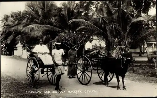 Ak Ceylon Sri Lanka, Rickshaw and Bullock Hackery