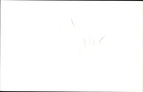 Foto Ak Korfu Griechenland, Une Rue, Esel