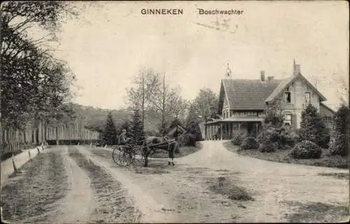 Ak Ginneken Nordbrabant, Boschwachter, Kutsche, Pferd