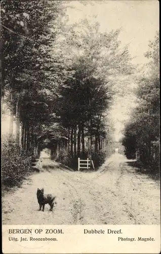 Ak Bergen op Zoom Nordbrabant Niederlande, De dubbele dreef, Hund