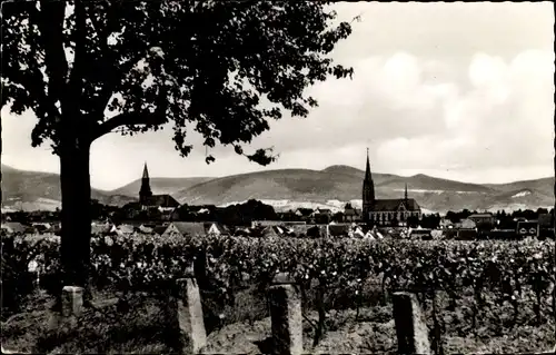 Ak Edenkoben an der Haardt Pfalz, Gesamtansicht