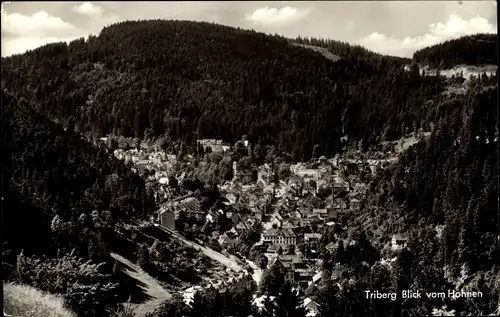 Ak Triberg im Schwarzwald, Blick vom Hohnen