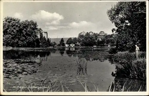 Ak Mettmann in Nordrhein Westfalen, Goldberger Teich