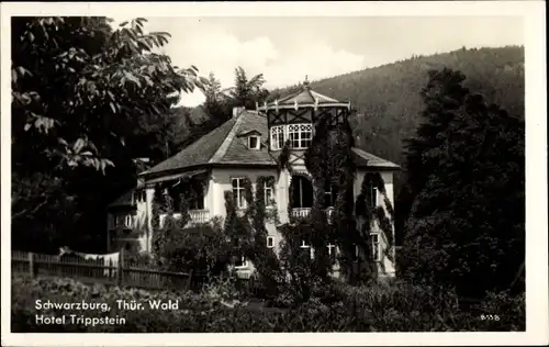 Ak Schwarzburg in Thüringen, Hotel Trippstein