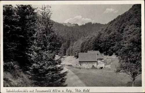 Ak Frauenwald in Thüringen, Blick auf die Trenkbachmühle, Wald