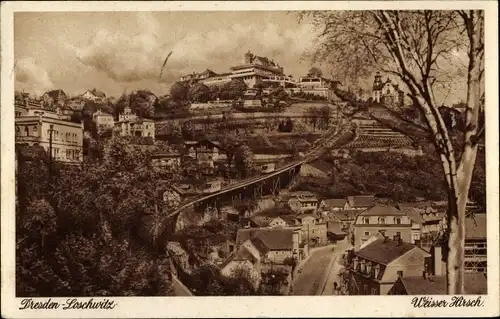 Ak Dresden Loschwitz Weißer Hirsch, Standseilbahn