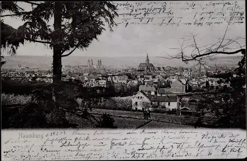 Ak Naumburg an der Saale, Totalansicht