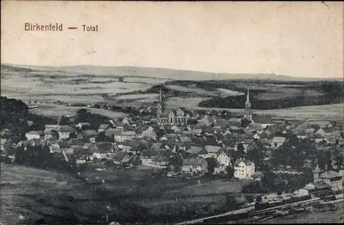 Ak Birkenfeld an der Nahe, Gesamtansicht