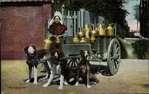 Ak Laitière Flamande, Hondenkar, Flämisches Milchmädchen, Hundekarren